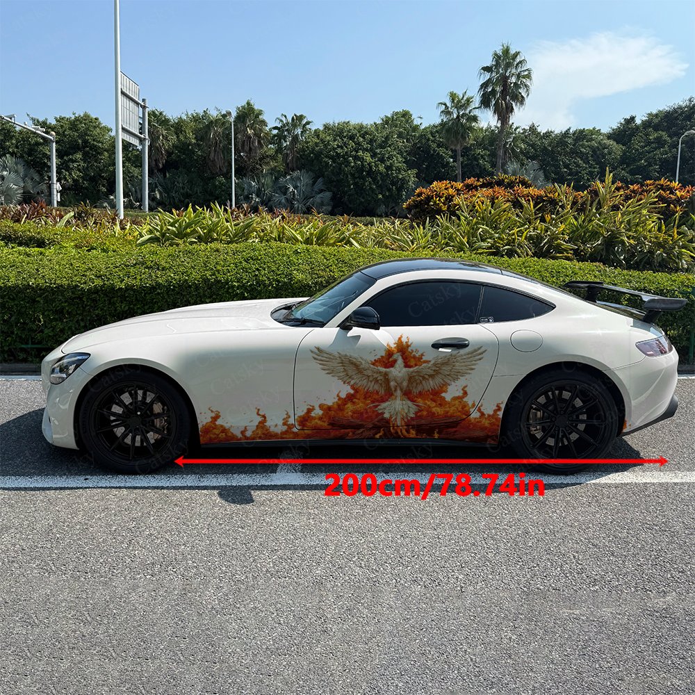 قطعتان من ملصقات السيارات ذاتي - مراجعة Car Accessories Phoenix وسعره