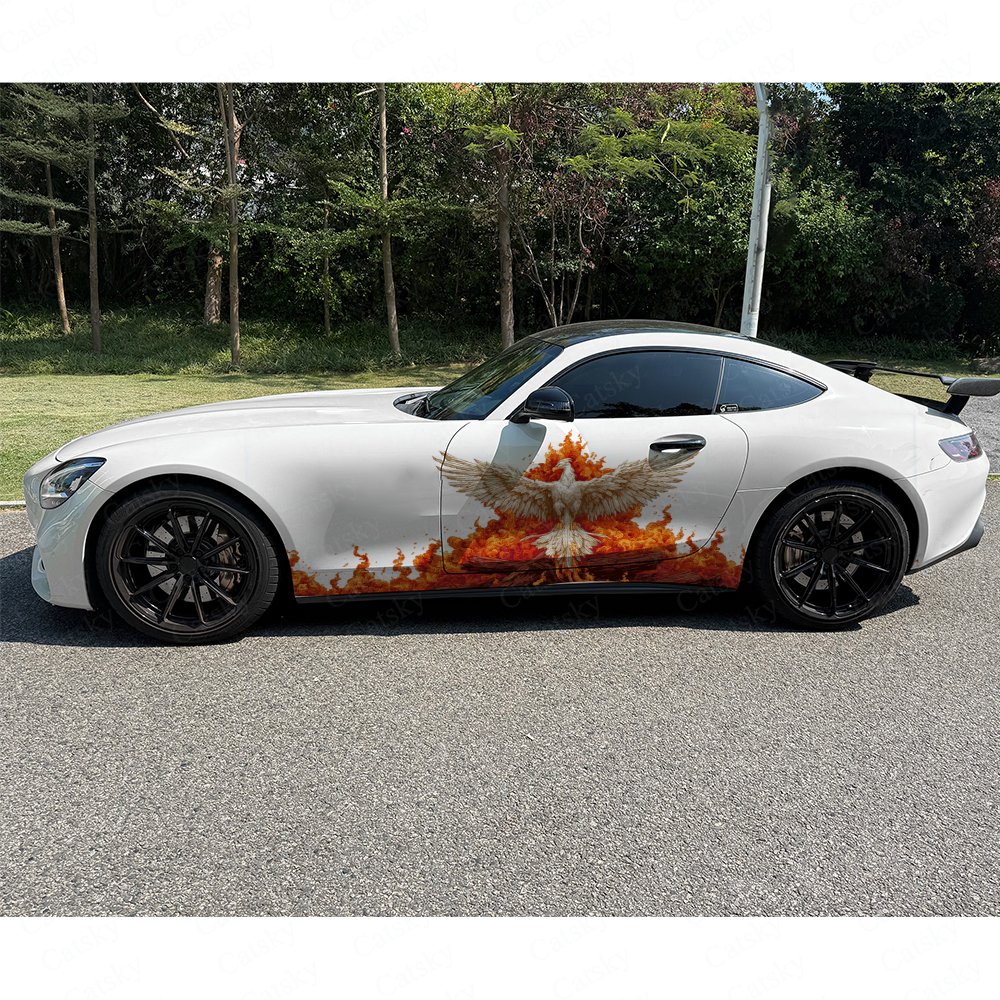 قطعتان من ملصقات السيارات ذاتي - مراجعة Car Accessories Phoenix وسعره