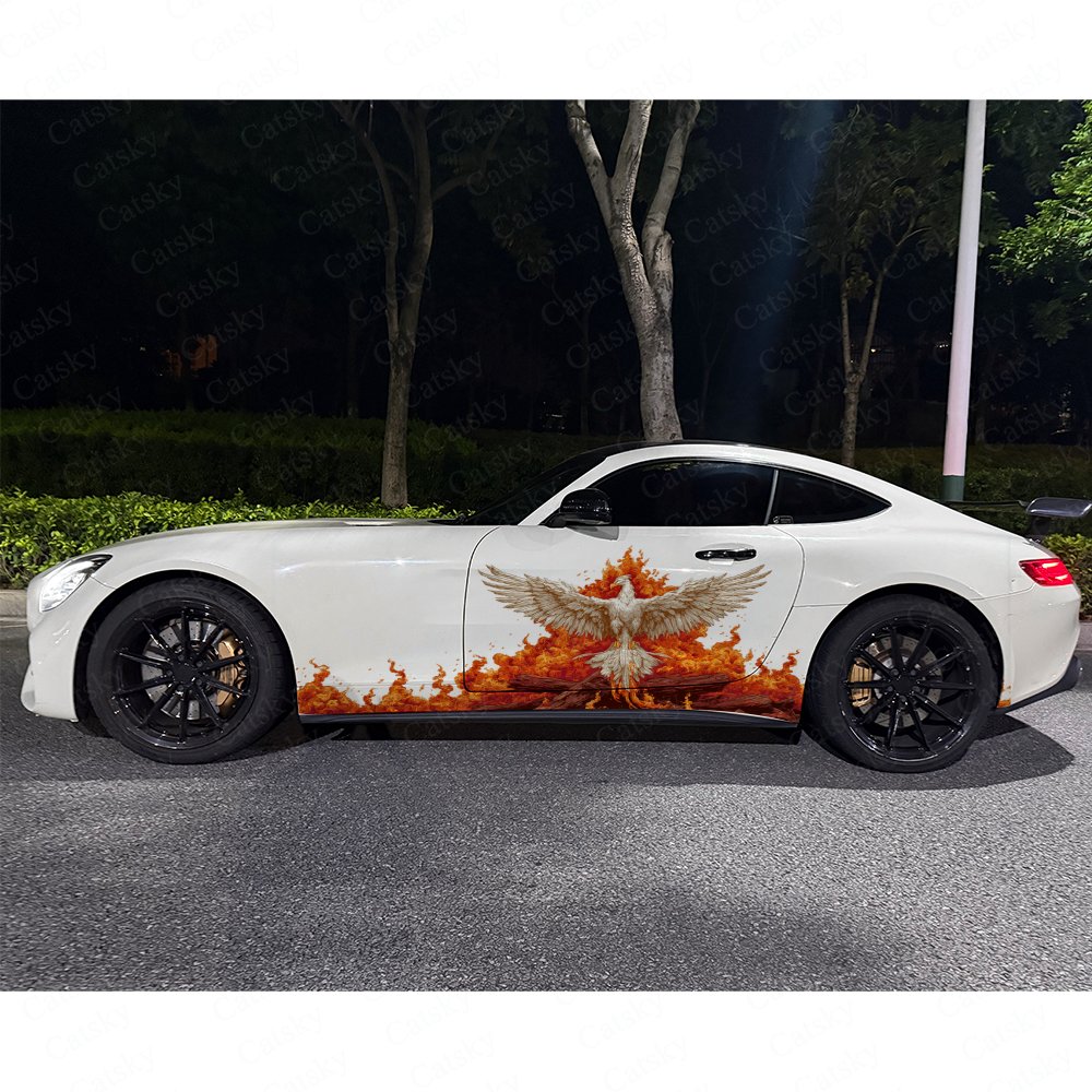 قطعتان من ملصقات السيارات ذاتي - مراجعة Car Accessories Phoenix وسعره