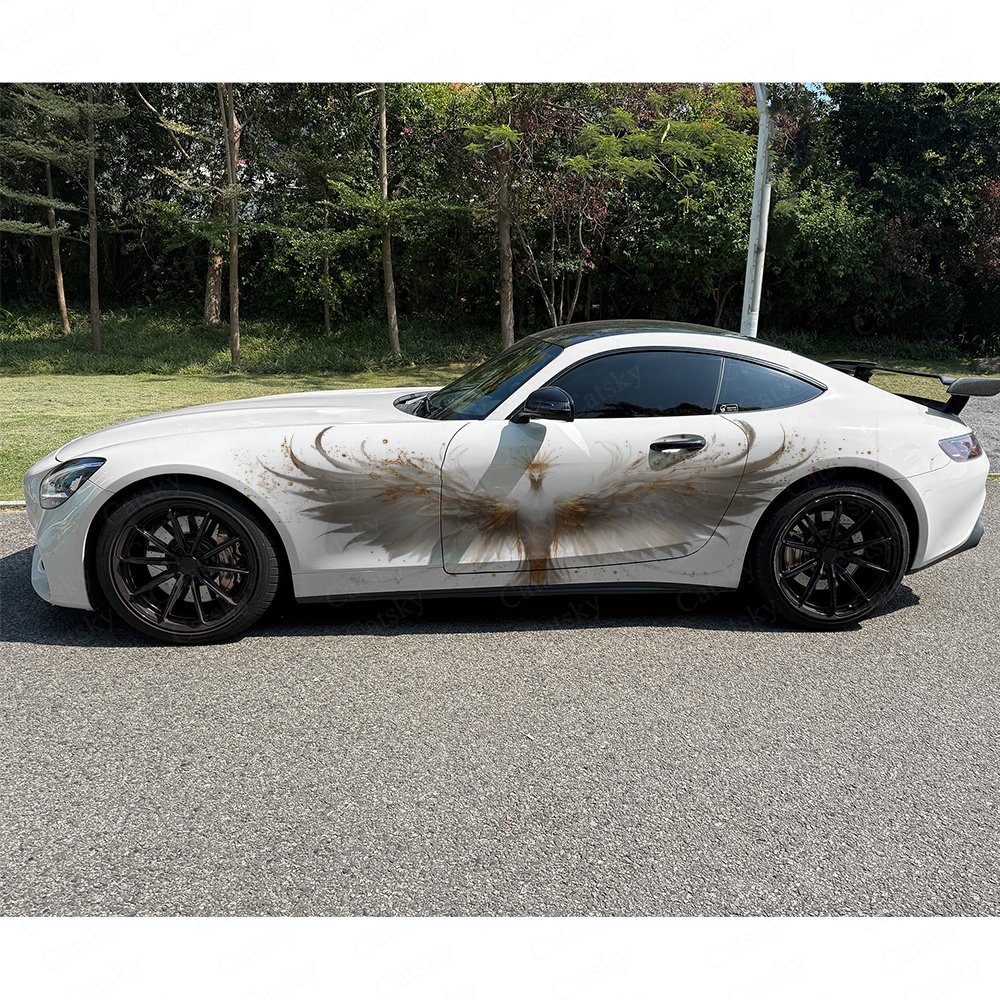 قطعتان من ملصقات السيارة الجان - مراجعة Car Accessories Phoenix وسعره