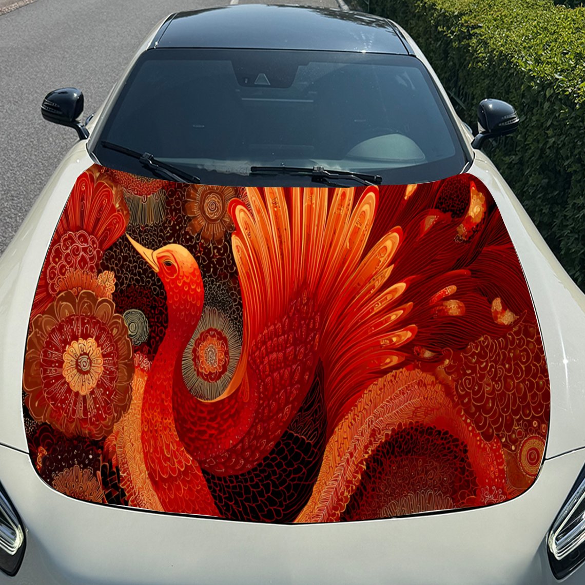 ملصق غطاء محرك السيارة باللون  - مراجعة Car Accessories Phoenix وسعره